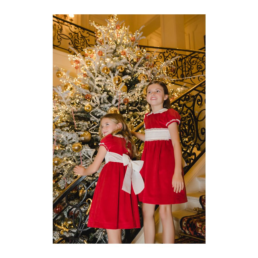 Santa Red Velvet Dress