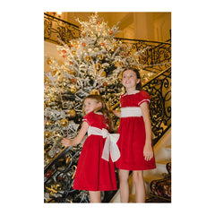 Santa Red Velvet Dress